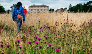 Castletown house, Celbridge, Co Kildare_master