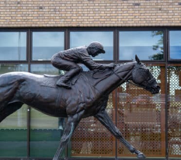 Keadeen-Hotel-Newbridge-Kildare-Activities-Horse-Racing-Curragh (4)