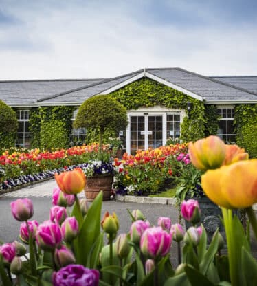 02-keadeen-spring-2019