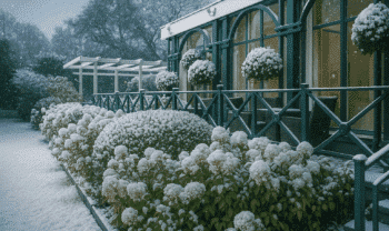 Keadeen Hotel Newbridge - hotel gardens - winter snow